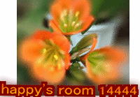happy's room 144444ԋLOv[g